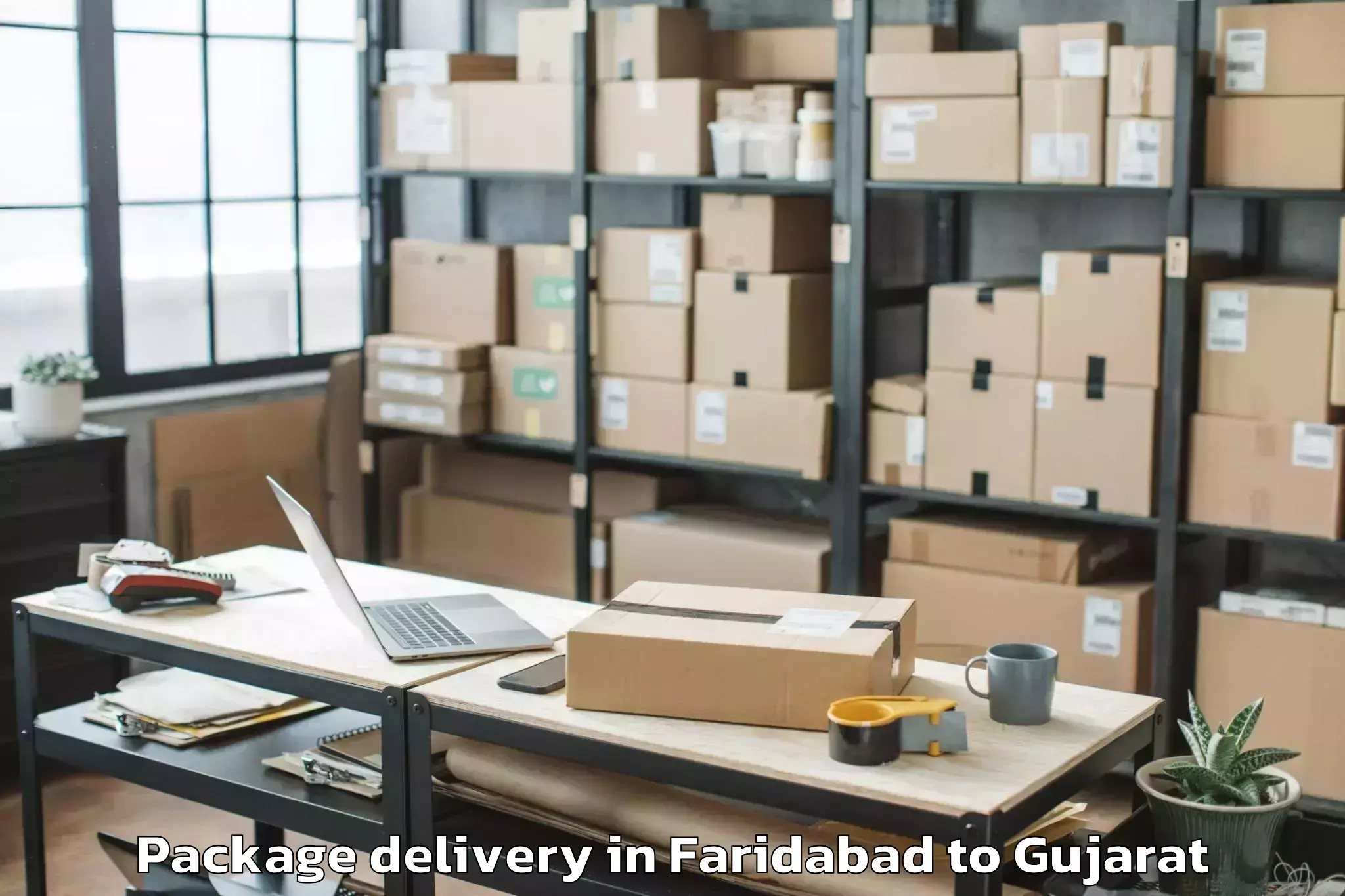 Professional Faridabad to Visavadar Package Delivery